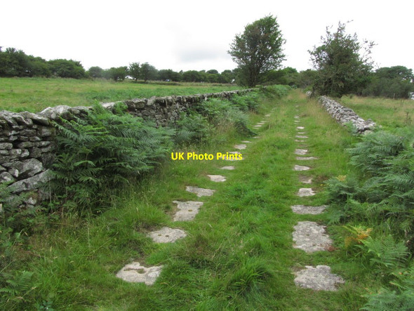 Photo 6"x4" Former tramway with stone sleepers running S from Minions Gonamena c2014