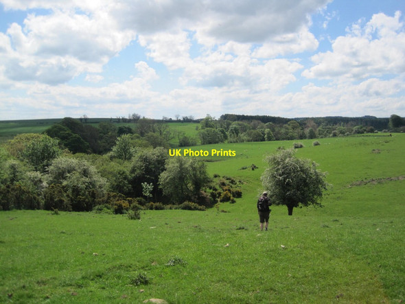 Photo 6"x4" St Oswald's Way towards Elyhaugh Old Swarland c2014