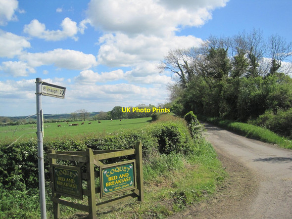 Photo 6"x4" Road to Elyhaugh and B&B Longframlington c2014