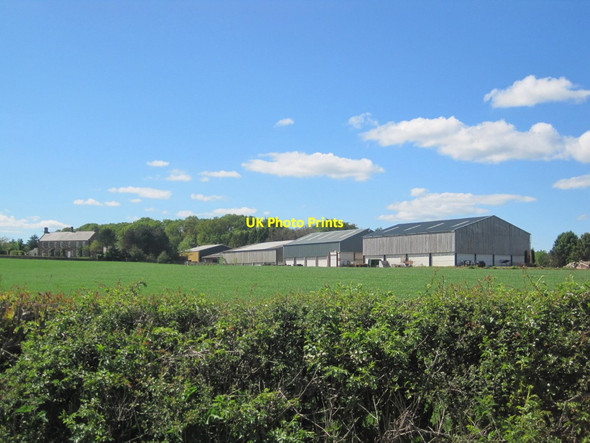 Photo 6"x4" Oak Dene Grange Farm North End\/NU1301 c2014 P1
