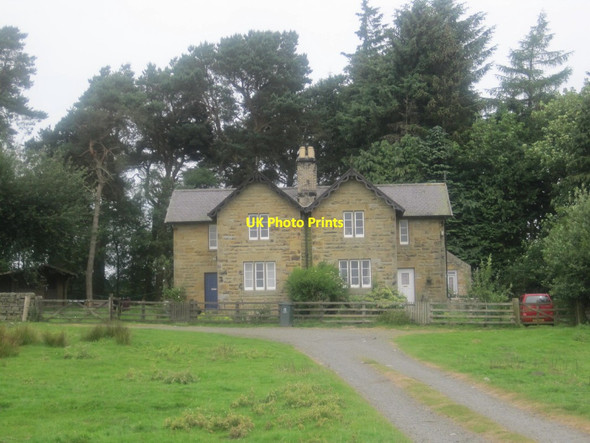 Photo 6"x4" Stanley Cottages Sandhoe c2014