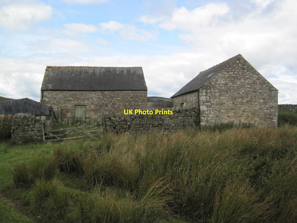 Photo 6"x4" High Boughthill Greenhaugh\/NY7987 c2014