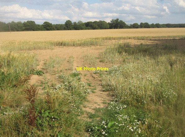 Photo 6"x4" Tractors means no growth Pardown c2014