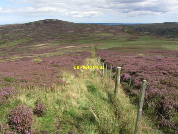 Photo 6"x4" Path leading from Broadhope Hill towards Cold Law, Cheviots Broadhope Hill c2014