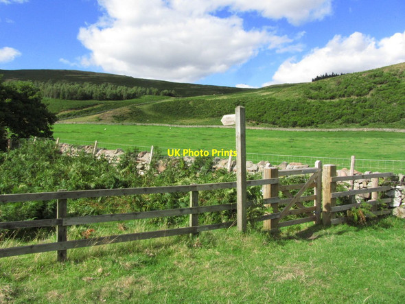 Photo 6"x4" Footpath leaving lane at Carey Burn Bridge, Harthope Valley, Cheviots Middleton Hall\/NT9825 c2014