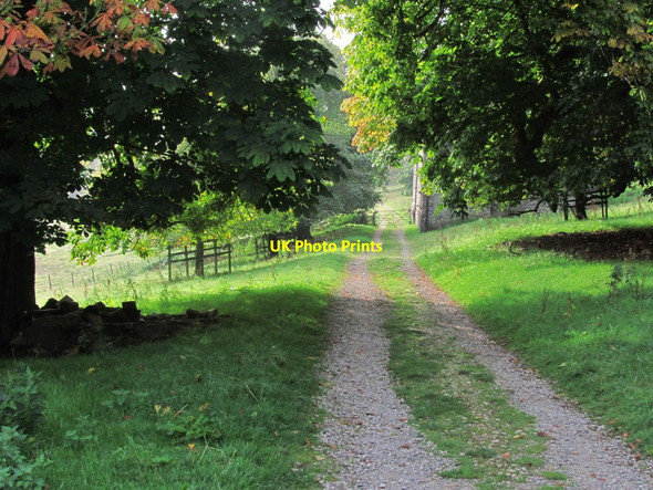Photo 6"x4" The Dales Way passing Birks Wood Barn, S of Buckden, N Yorks Buckden\/SD9477 c2014