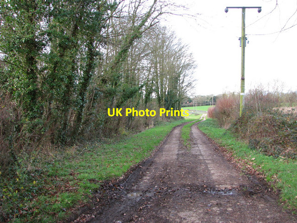 Photo 6"x4" Track to the sewage works Ashwellthorpe c2014