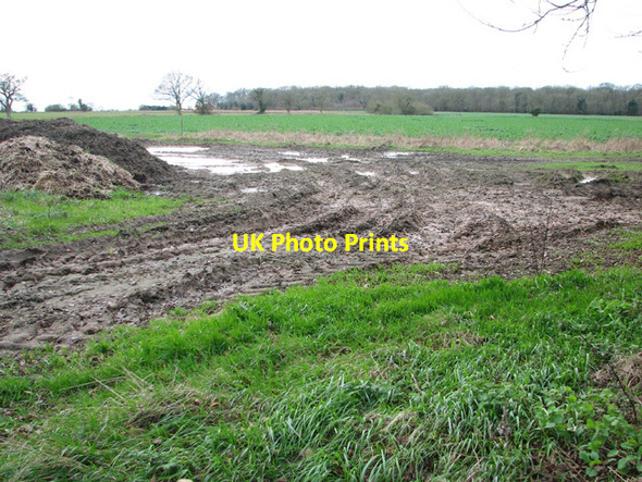 Photo 6"x4" Fields west of New Road Ashwellthorpe c2014