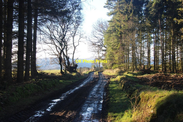 Photo 6"x4" A track to Cairnmore Coynach c2014