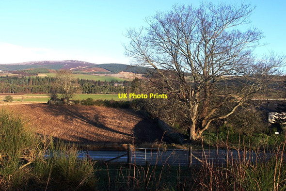 Photo 6"x4" Farmland near Tarland Tarland c2014