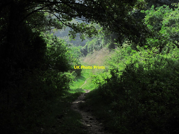 Photo 6"x4" On Purbeck Way - Path along Hill Bottom near Worth Matravers Kingston\/SY9579 c2014