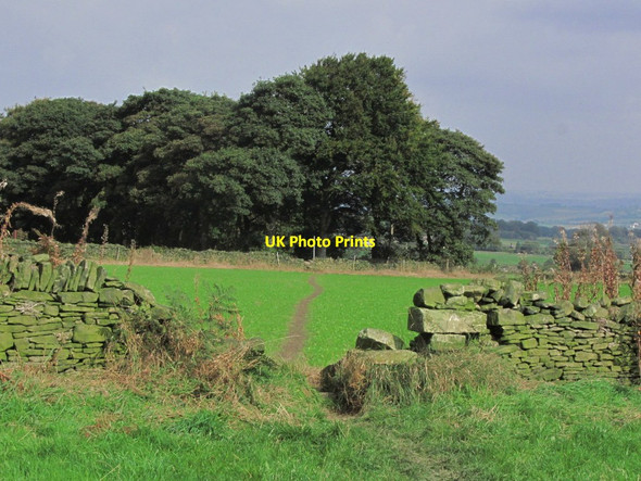 Photo 6"x4" Footpath crossing Farnley Moor towards Whinny Wood Farm, S of Farnley Tyas Farnley Tyas c2014