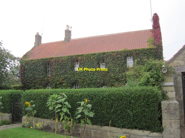 Photo 6"x4" Buston Barns High Buston c2014
