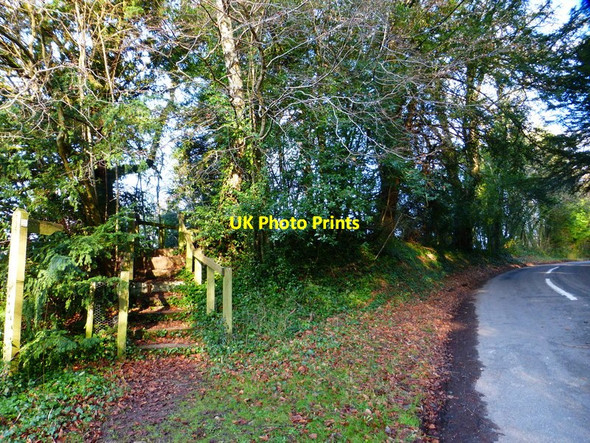 Photo 6"x4" Footpath leaves road with steps Brockbridge c2014