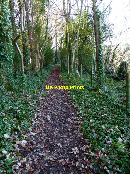 Photo 6"x4" Footpath going south at Brockbridge Brockbridge c2014