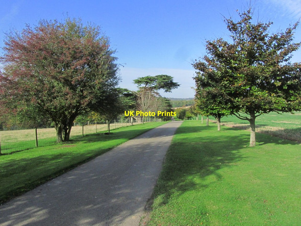 Photo 6"x4" Driveway to Home Farm, Eastwell Park Eastwell Park\/TR0147 c2014
