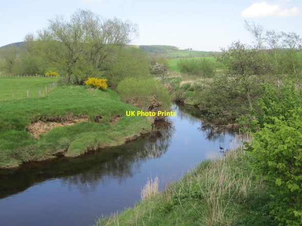 Photo 6"x4" River Till Chatton c2014