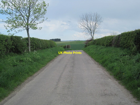 Photo 6"x4" Road towards a T-Junction near Newtown East Lilburn c2014