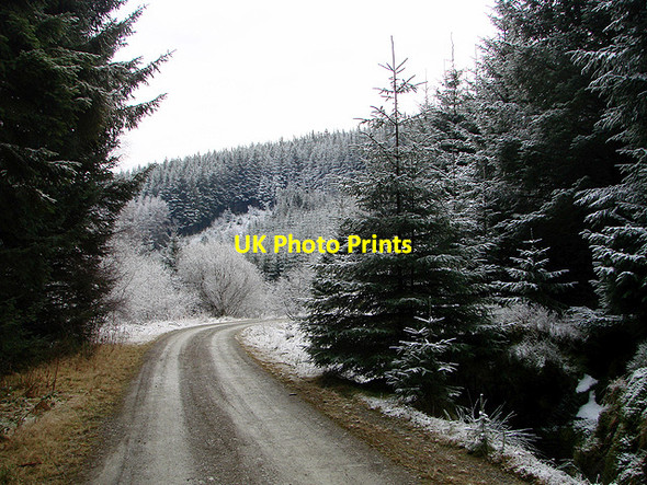 Photo 6"x4" Forestry road, Esgair Ychion Llanifyny c2011