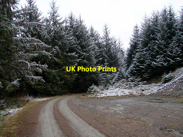 Photo 6"x4" Pull-in beside the forestry road, Esgair Ychion Llanifyny c2011 P1