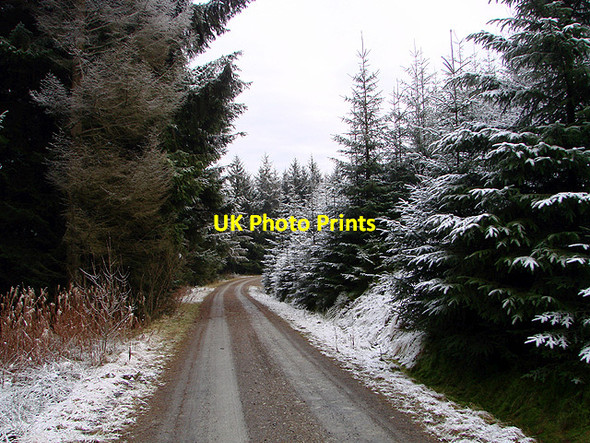 Photo 6"x4" Forestry road, Esgair Ychion Llanifyny c2011