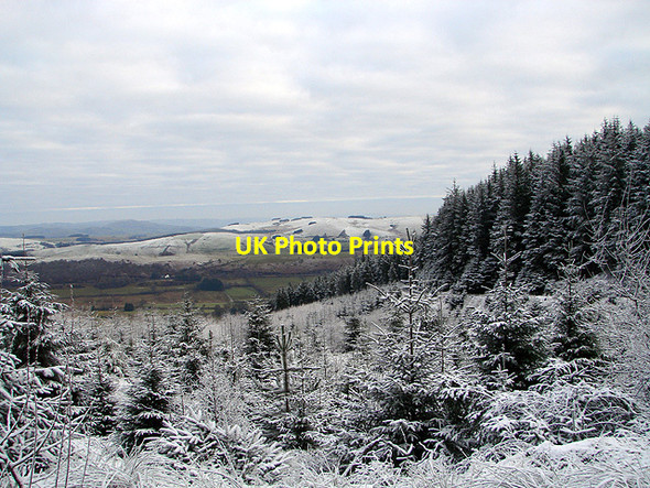 Photo 6"x4" A view over Abertrinant Llanifyny c2011