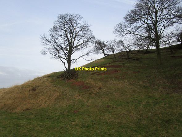 Photo 6"x4" Eroding hillside North Clifton c2014