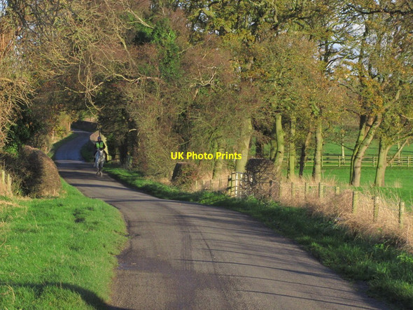 Photo 6"x4" Autumn afternoon, Smithy Lane, Hulme Walfield near Congleton Congleton c2014