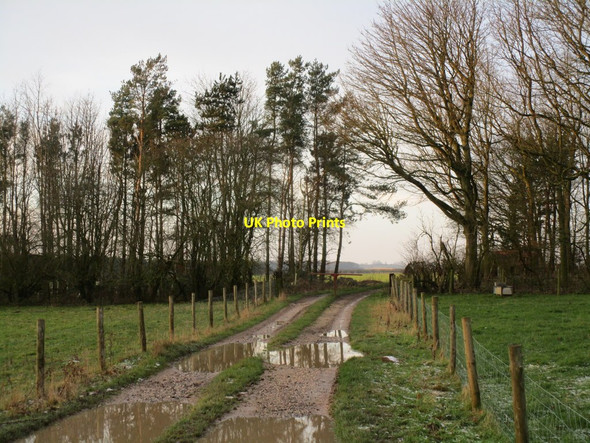 Photo 6"x4" Footpath near Foxcovert Farm Huggate c2014