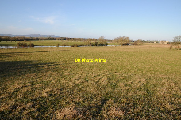 Photo 6"x4" Croome Park Dunstall Common c2014