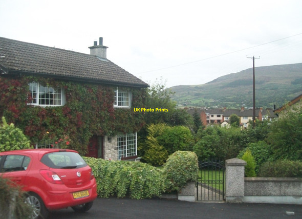 Photo 6"x4" Ivy covered house on Tullymacreeve Road, Mullaghbawn Forkhill c2014