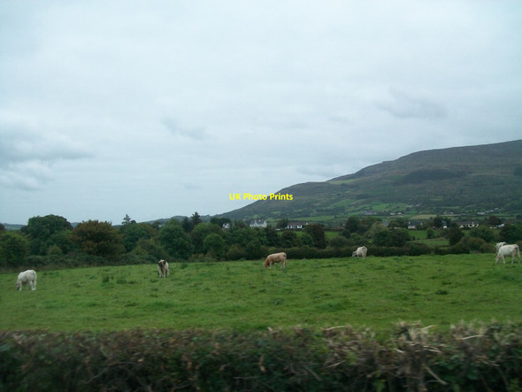Photo 6"x4" Grazing land on the east side of Tullymacreeve Road, Mullaghbawn Forkhill c2014