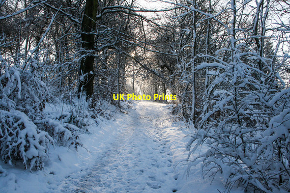 Photo 6"x4" Wintry scene on Longshaw Estate Nether Padley c2014