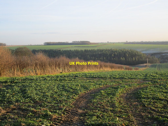 Photo 6"x4" View towards Loaningdale Bottom Warter c2014
