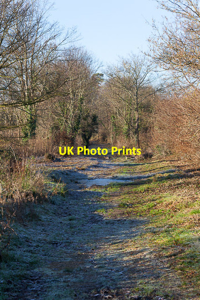 Photo 6"x4" Track on Lakeside Country Park, Eastleigh Eastleigh\/SU4519 c2014