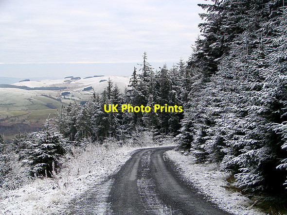 Photo 6"x4" Forestry road on Esgair Ychion Llanifyny c2011