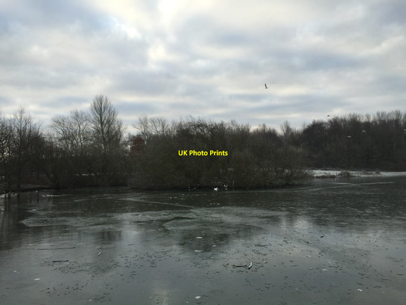 Photo 6"x4" Westport Lake: iced-over model boating lake Longbridge Hayes c2014