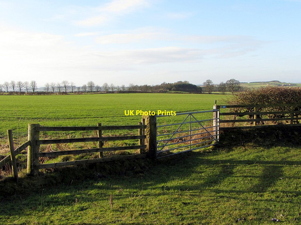 Photo 6"x4" Bridleway west of Turpin's Hill Horsley\/NZ0966 c2014