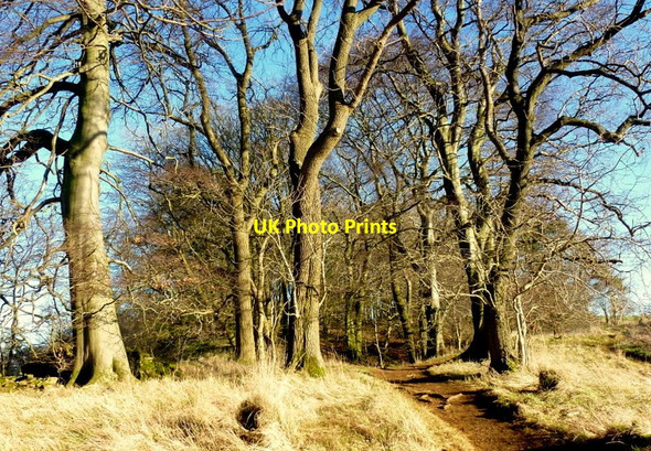 Photo 6"x4" Bredon Hill crest path, 4 Bredon's Norton c2014
