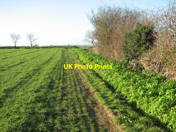 Photo 6"x4" Path along field boundary Hellington c2014 P1