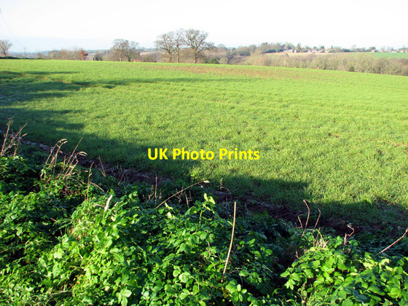 Photo 6"x4" Crop fields by Rookery Farm Hellington c2014