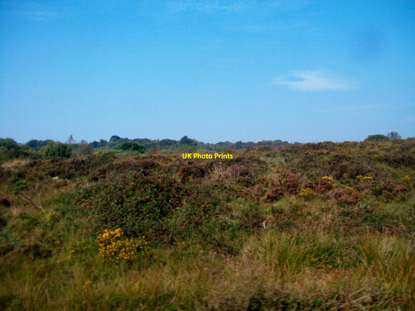 Photo 6"x4" Moorland above the B30 near Cashel Lough Lower Cullyhanna c2014