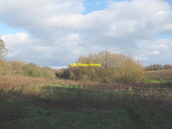 Photo 6"x4" Green lane near Rode Heath Alsager c2014