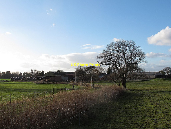 Photo 6"x4" Roughwood Farm Hassall Green c2014