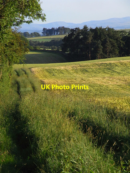 Photo 6"x4" Track and farmland, Glassonby Gamblesby c2010