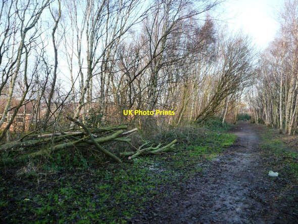 Photo 6"x4" Maintenance on the railway embankment at Robin Hood Rothwell\/SE3428 c2014
