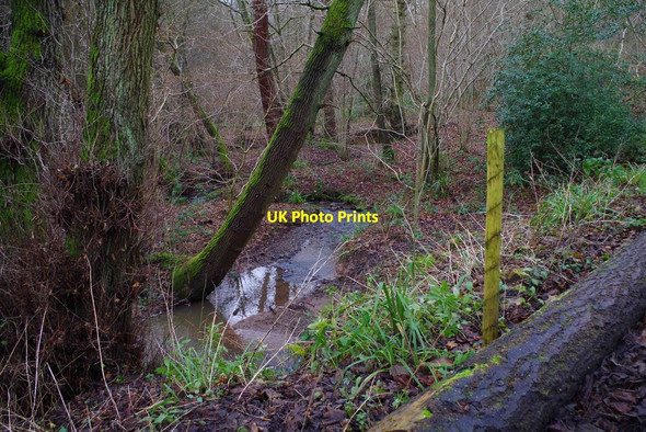 Photo 6"x4" Stream in Eymore Wood, near Trimpley, Worcs Holbeache c2015 P1