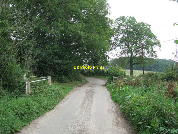 Photo 6"x4" Bend On New Road Hemp Green c2014