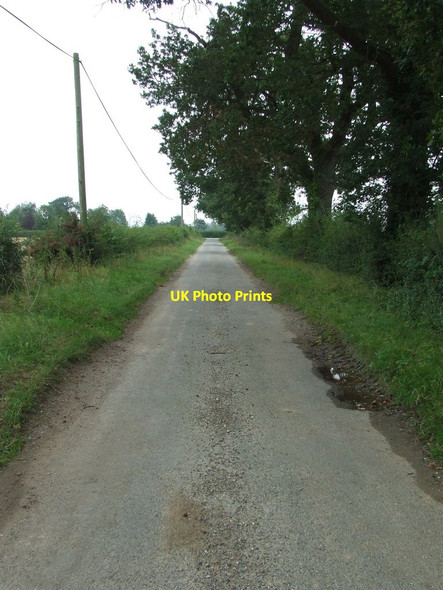 Photo 6"x4" New Road Hemp Green c2014