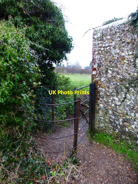 Photo 6"x4" Gate at footpath junction Hambledon\/SU6414 c2015